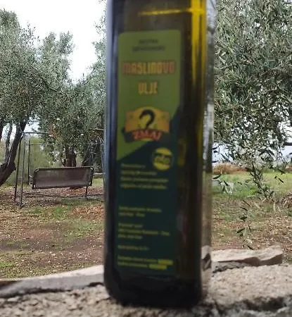 דירה Zmaj זבלה