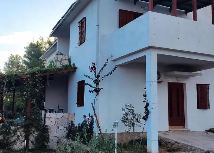 Zmaj * زافالا
