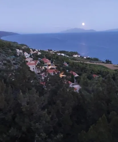 Zmaj * زافالا