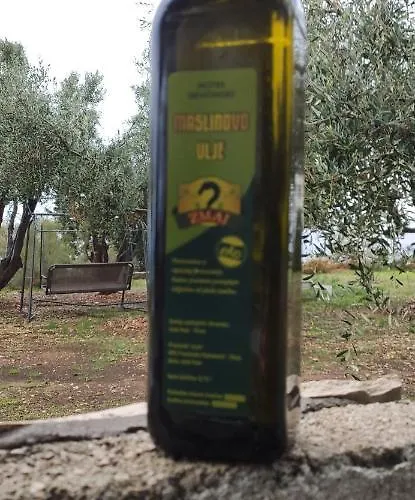 شقة Zmaj زافالا