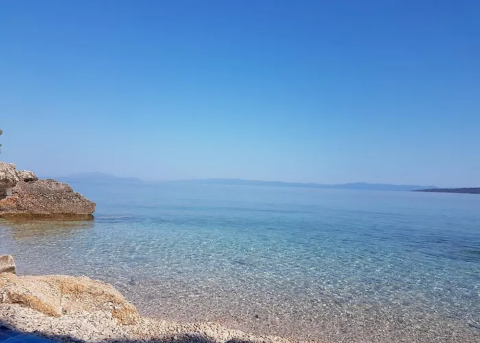 Zmaj * زافالا